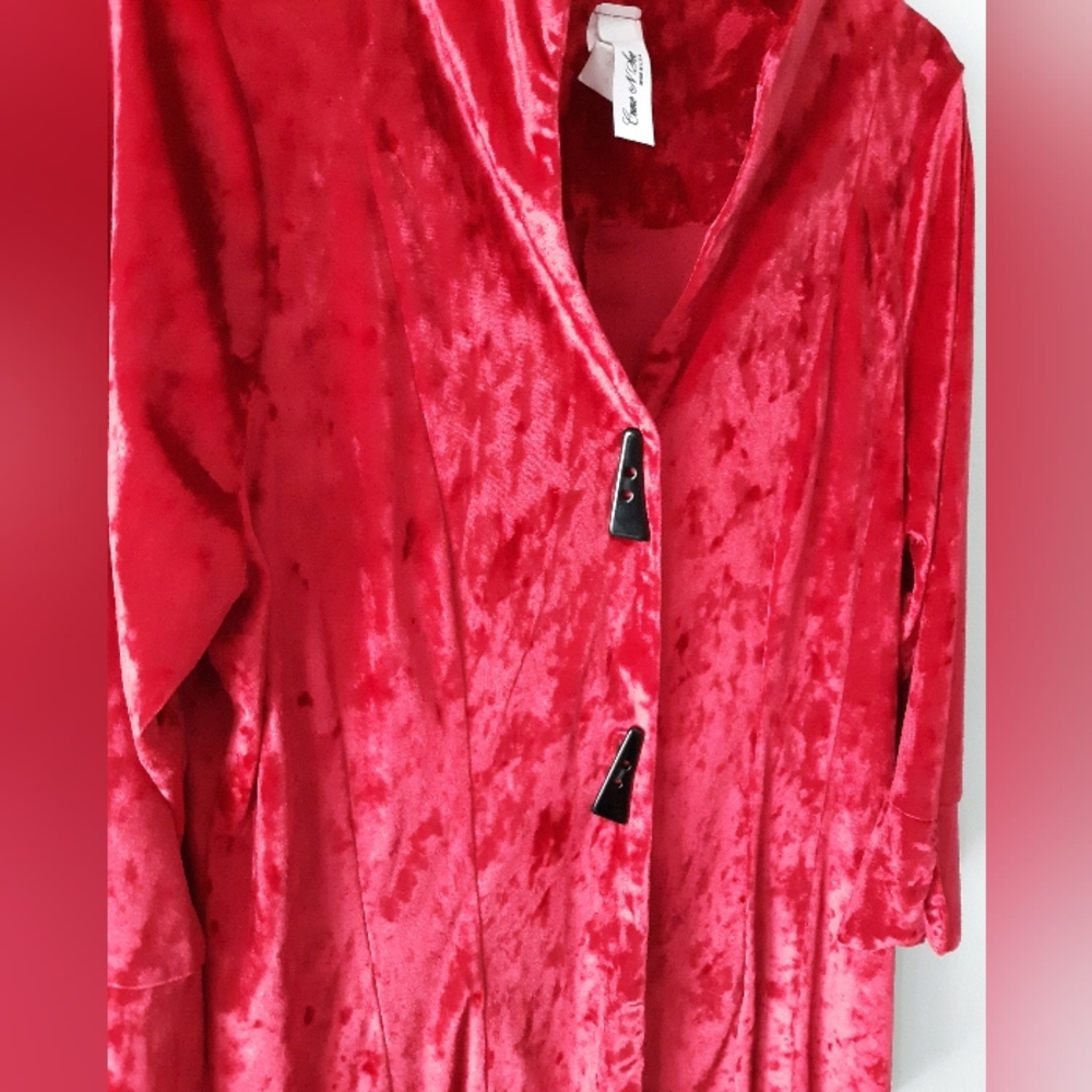 VTG Crushed Velvet Blazer - Picture 3 of 7